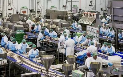 食品加工行業